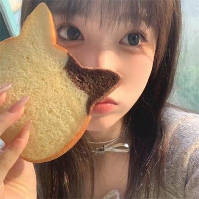 披荆斩棘第五季