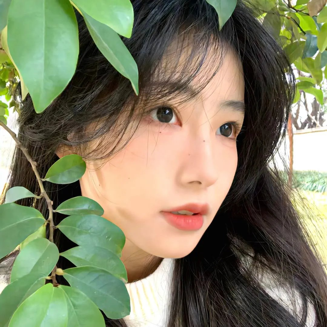 冰菓
